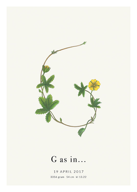  – Buchstabe G aus einer Blume und Blättern