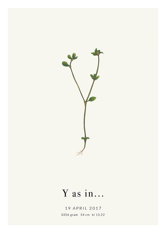  – Buchstabe Y aus einer Pflanze mit Text am unteren Rand