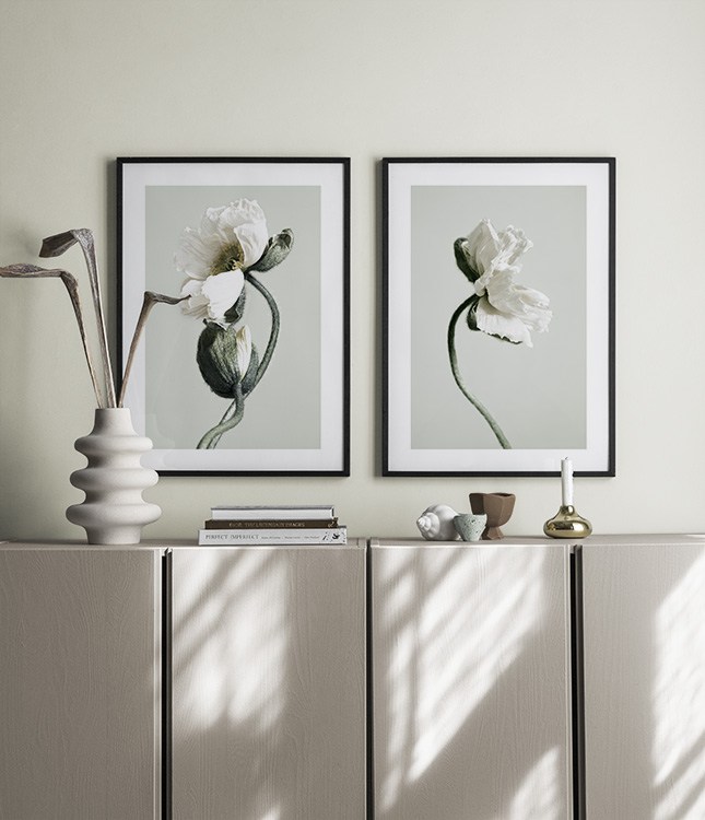 Mohnblumen-Set