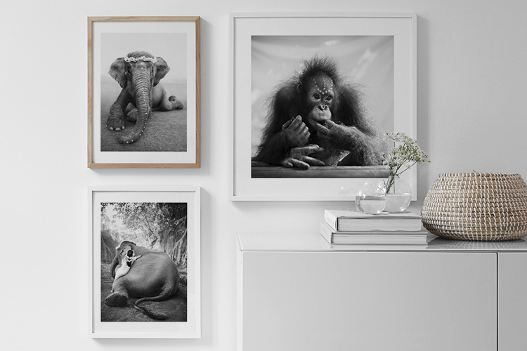 Traumhafte Fotokunst von Love Warriors